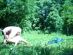 A noising forest